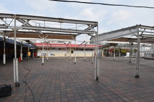 平成29年3月13日撮影-①